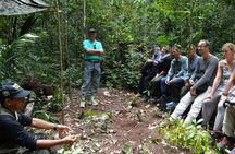 Dinner and Overnight in the Jungle in Manaus