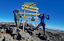 Conquering Kilimanjaro: 7 Days to the Summit via Lemosho Route
