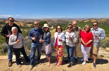 Large Group Wine Tasting Tour (For 6+ Guests • We Drive Your Car)