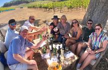 Large Group Wine Tasting Tour (For 6+ Guests • We Drive Your Car)