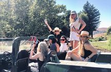 Large Group Wine Tasting Tour (For 6+ Guests • We Drive Your Car)