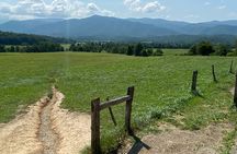 5 Hour Tour of the Mountain Heritage of Cades Cove