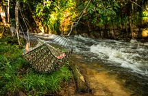 6-Day Guided Kayak Expedition in the Amazon