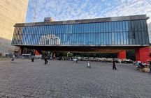 São Paulo 5 Hour Private Tour With Fruit Tasting
