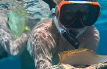 Half-Day Private Roatan Nature Park, Snorkeling, and Beach Tour