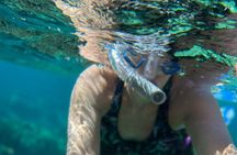Half-Day Private Roatan Nature Park, Snorkeling, and Beach Tour