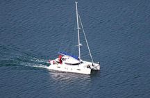Snorkeling with Orcas In Norway, 4 days All-Inclusive expedition 