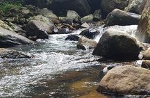 Ella and Yala National park Tour from Colombo