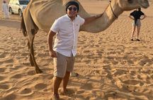 Dubai Desert Safari: Premium Adventure ,Camel Riding & Live Shows