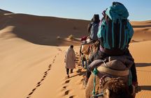 Dubai Desert Safari: Premium Adventure ,Camel Riding & Live Shows