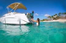 Best Private Punta Cana Snorkeling Tour & Natural Pool Stop
