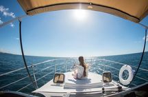 Best Private Punta Cana Snorkeling Tour & Natural Pool Stop