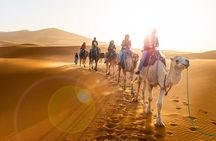 Private 4 Days Desert Tour from Marrakech to Fes