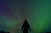 Rovaniemi: Aurora BBQ at the Best Spots