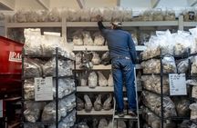 Gourmet Mushroom Farm Tour in Tennessee