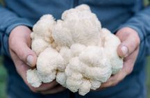 Gourmet Mushroom Farm Tour in Tennessee