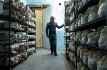 Gourmet Mushroom Farm Tour in Tennessee