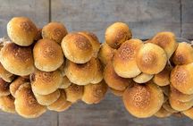 Gourmet Mushroom Farm Tour in Tennessee