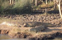 Half Day Tour in iSimangaliso Wetland Park