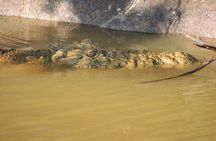 Half Day Tour in iSimangaliso Wetland Park