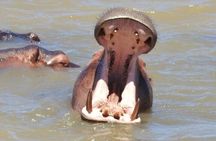 Half Day Tour in iSimangaliso Wetland Park