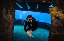 Scuba Diving in Playa del Carmen for Small Groups