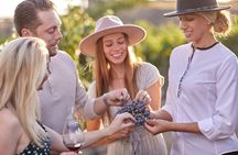 Europa Village Winery Tour