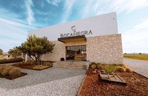 Cheese and Wine Route Tour with starting from Querétaro