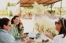 Cheese and Wine Route with 2 Towns, starting from Querétaro