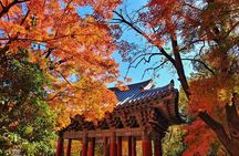 Old Korea Thousand History Tour of Gyeongju from Busan