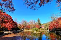 Old Korea Thousand History Tour of Gyeongju from Busan