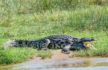 Murchison Falls 3 Day Tour with Private Transportation