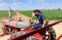 Fully Inclusive The Israeli Kibbutz Experience