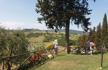 Private Tour in San Gimignano and Chianti Day Trip from Florence