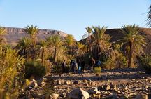 Trekking 8 days in the Moroccan desert from Marrakech