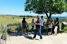 Private Tour in San Gimignano and Chianti Day Trip from Florence
