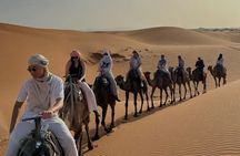Merzouga 1 Night Camel Trekking Desert CAMP