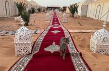 Merzouga 1 Night Camel Trekking Desert CAMP