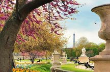 Exclusive Walking Tour of Central Paris With Local Guide