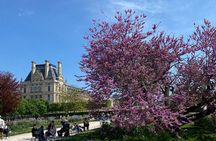 Exclusive Walking Tour of Central Paris With Local Guide