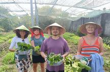 Exploring organic farm & Vietnamese Culinary with Master chef 