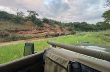 Richards Bay: Big 5 Luxury Safari at Manyoni Private Game Reserve