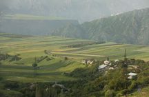 Wild Table by Odzun BnB