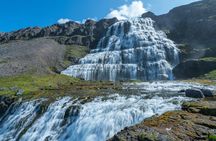 From Reykjavík: 3-Day Tour of the Wild and Wonderful Westfjords