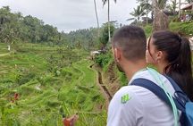 Full Day Mount Batur Sacred Monkey Forest Tour in Bali Island 