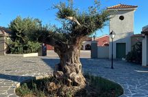 Kefalonia Wine Tour