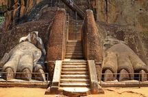 All-inclusive Day Tour of Sigiriya & Dambulla from Colombo