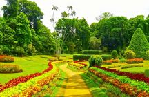 Sigiriya, Dambulla, Safari and Kandy in 3 days