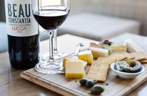 Full Day Constantia Wine Tasting and Table Mountain 