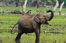 Yala National Park Private Jeep Safari From Colombo & Negombo